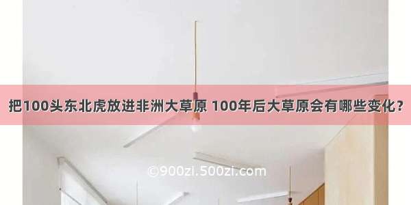 把100头东北虎放进非洲大草原 100年后大草原会有哪些变化？