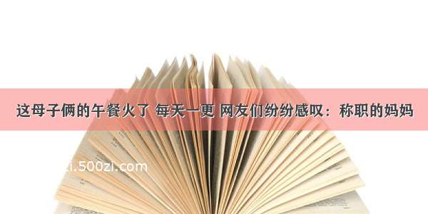 这母子俩的午餐火了 每天一更 网友们纷纷感叹：称职的妈妈