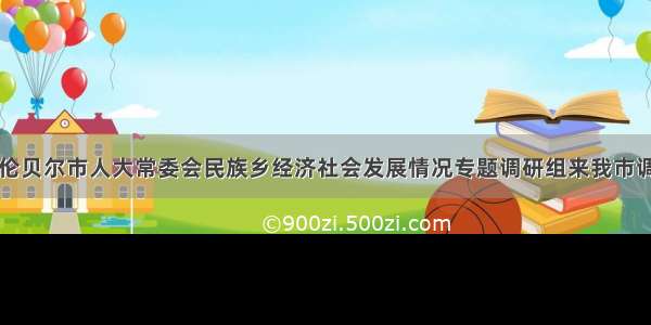 呼伦贝尔市人大常委会民族乡经济社会发展情况专题调研组来我市调研