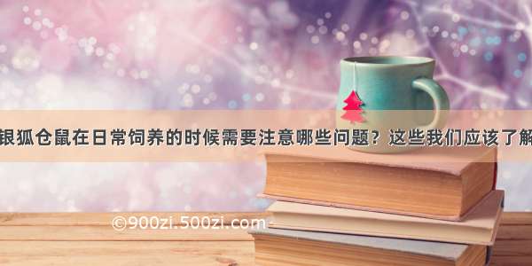 银狐仓鼠在日常饲养的时候需要注意哪些问题？这些我们应该了解