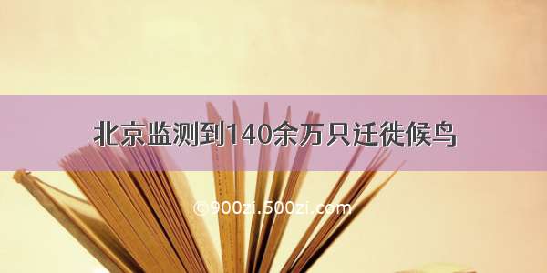 北京监测到140余万只迁徙候鸟