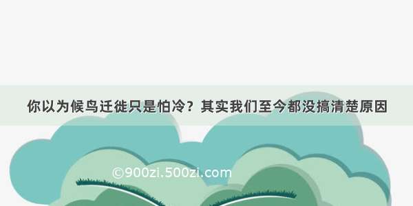 你以为候鸟迁徙只是怕冷？其实我们至今都没搞清楚原因