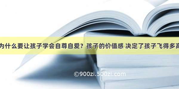 为什么要让孩子学会自尊自爱？孩子的价值感 决定了孩子飞得多高