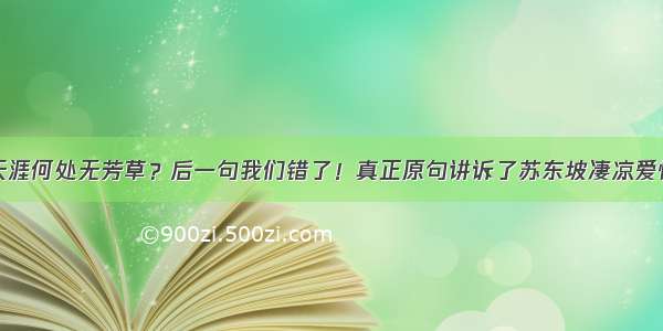 天涯何处无芳草？后一句我们错了！真正原句讲诉了苏东坡凄凉爱情