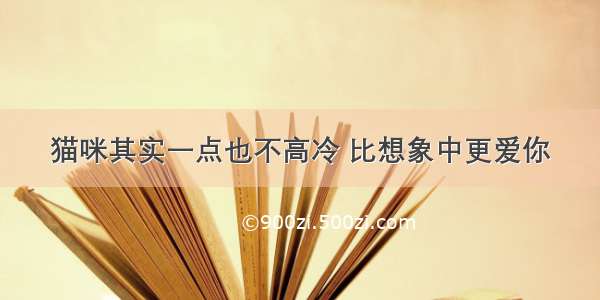 猫咪其实一点也不高冷 比想象中更爱你