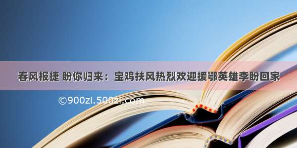 春风报捷 盼你归来：宝鸡扶风热烈欢迎援鄂英雄李盼回家