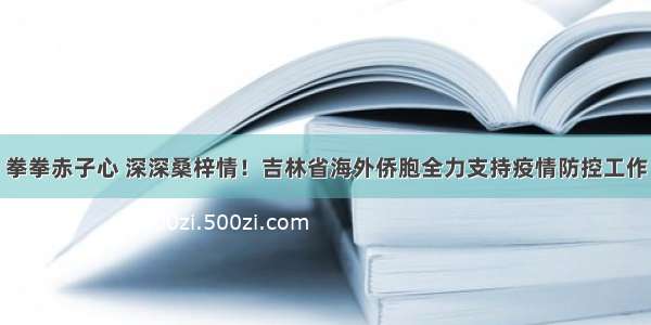 拳拳赤子心 深深桑梓情！吉林省海外侨胞全力支持疫情防控工作