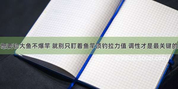 想要钓大鱼不爆竿 就别只盯着鱼竿顶钓拉力值 调性才是最关键的