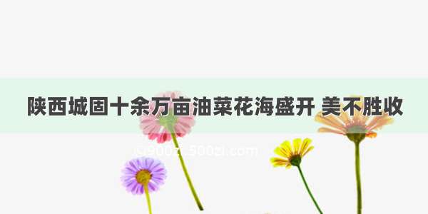 陕西城固十余万亩油菜花海盛开 美不胜收