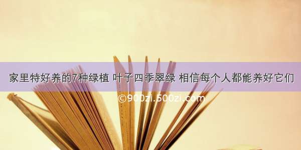 家里特好养的7种绿植 叶子四季翠绿 相信每个人都能养好它们