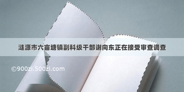 涟源市六亩塘镇副科级干部谢向东正在接受审查调查