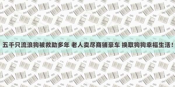 五千只流浪狗被救助多年 老人卖尽商铺豪车 换取狗狗幸福生活！