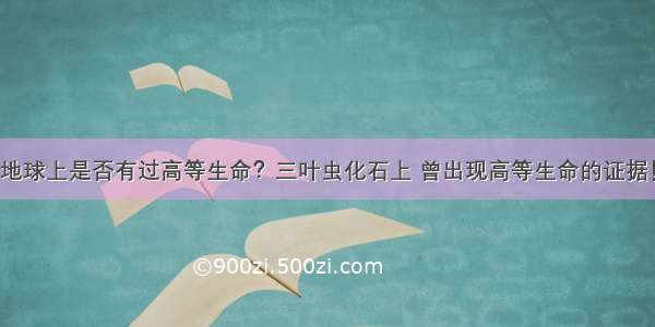 地球上是否有过高等生命？三叶虫化石上 曾出现高等生命的证据！