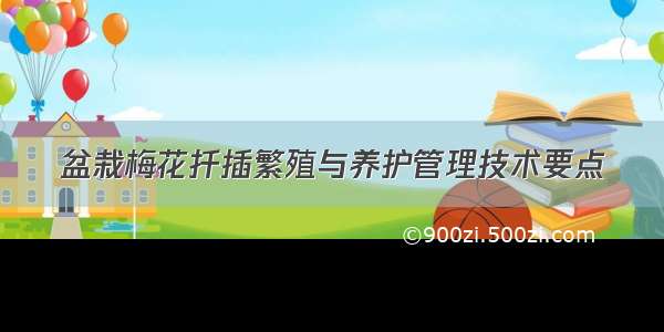 盆栽梅花扦插繁殖与养护管理技术要点