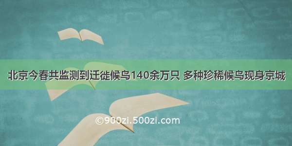 北京今春共监测到迁徙候鸟140余万只 多种珍稀候鸟现身京城