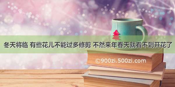 冬天将临 有些花儿不能过多修剪 不然来年春天就看不到开花了