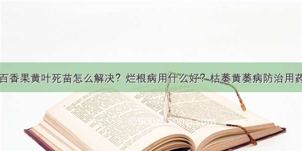 百香果黄叶死苗怎么解决？烂根病用什么好？枯萎黄萎病防治用药