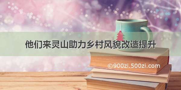 他们来灵山助力乡村风貌改造提升