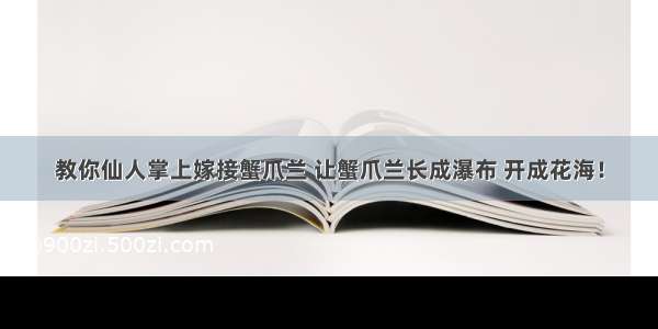 教你仙人掌上嫁接蟹爪兰 让蟹爪兰长成瀑布 开成花海！