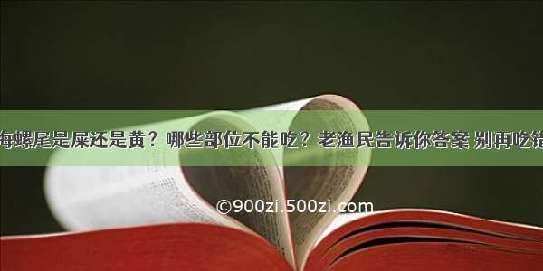 海螺尾是屎还是黄？哪些部位不能吃？老渔民告诉你答案 别再吃错