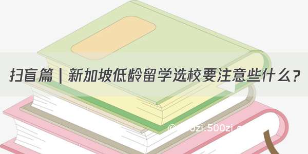 扫盲篇 | 新加坡低龄留学选校要注意些什么？