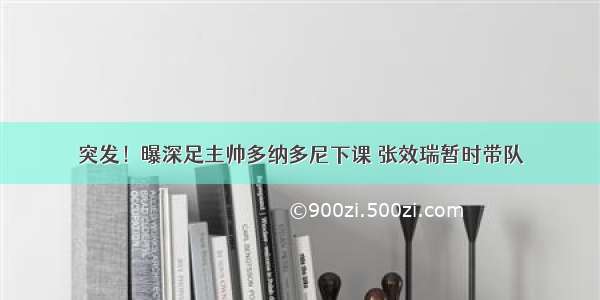 突发！曝深足主帅多纳多尼下课 张效瑞暂时带队