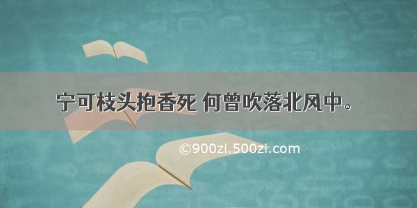 宁可枝头抱香死 何曾吹落北风中。​