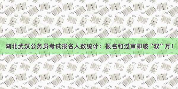 湖北武汉公务员考试报名人数统计：报名和过审即破“双”万！