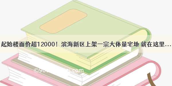 起始楼面价超12000！滨海新区上架一宗大体量宅地 就在这里...