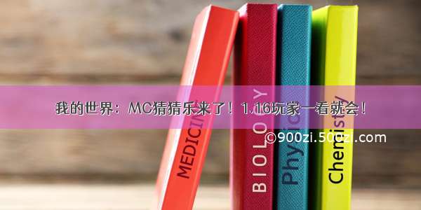 我的世界：MC猜猜乐来了！1.16玩家一看就会！