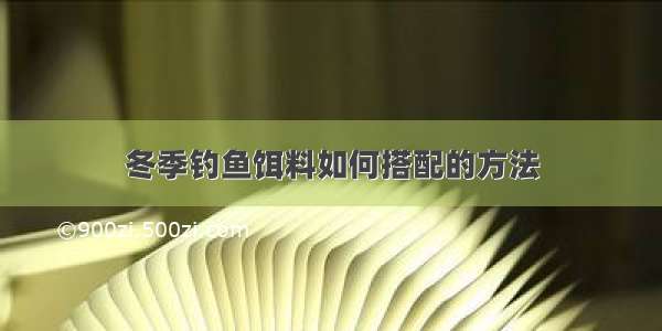 冬季钓鱼饵料如何搭配的方法