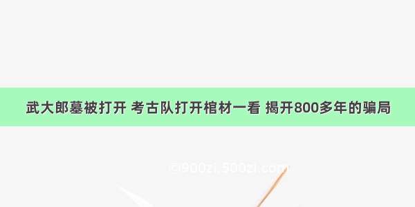 武大郎墓被打开 考古队打开棺材一看 揭开800多年的骗局