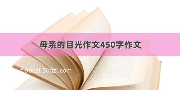 母亲的目光作文450字作文