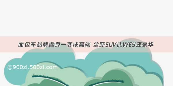 面包车品牌摇身一变成高端 全新SUV比WEY还豪华