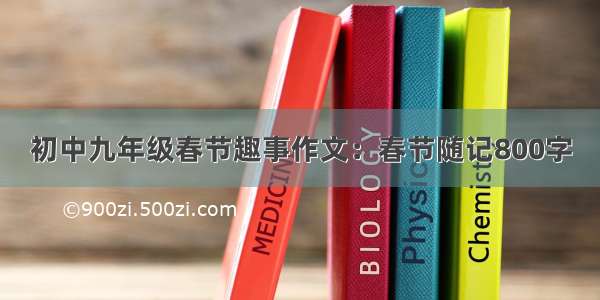 初中九年级春节趣事作文：春节随记800字