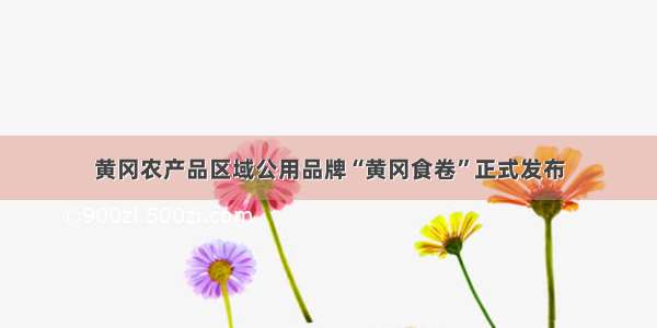 黄冈农产品区域公用品牌“黄冈食卷”正式发布