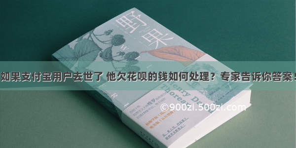 如果支付宝用户去世了 他欠花呗的钱如何处理？专家告诉你答案！