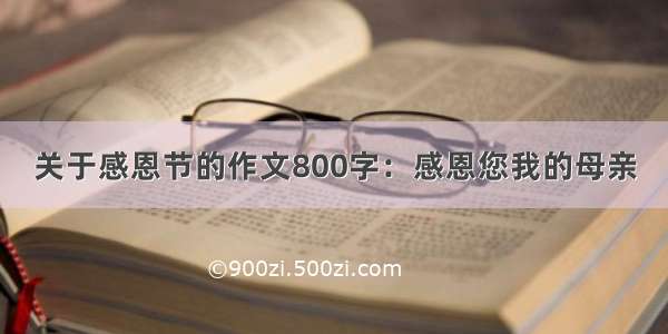 关于感恩节的作文800字：感恩您我的母亲