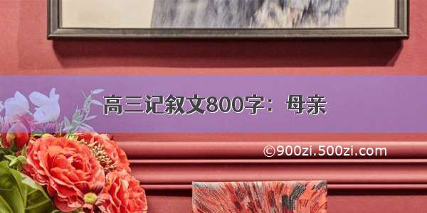 高三记叙文800字：母亲