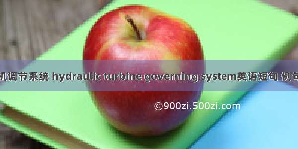 水轮机调节系统 hydraulic turbine governing system英语短句 例句大全