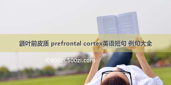 额叶前皮质 prefrontal cortex英语短句 例句大全