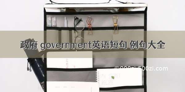 政府 government英语短句 例句大全