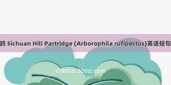 四川山鹧鸪 Sichuan Hill Partridge (Arborophila rufipectus)英语短句 例句大全