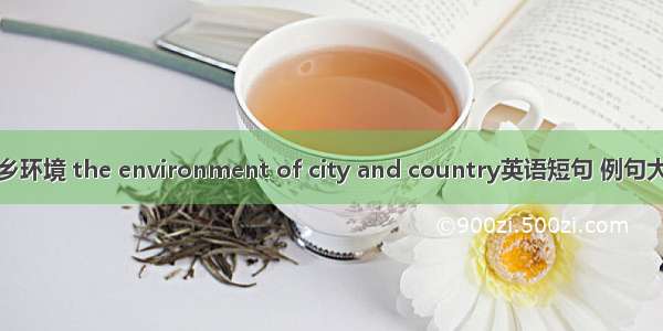 城乡环境 the environment of city and country英语短句 例句大全