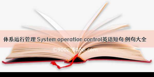 体系运行管理 System operation control英语短句 例句大全