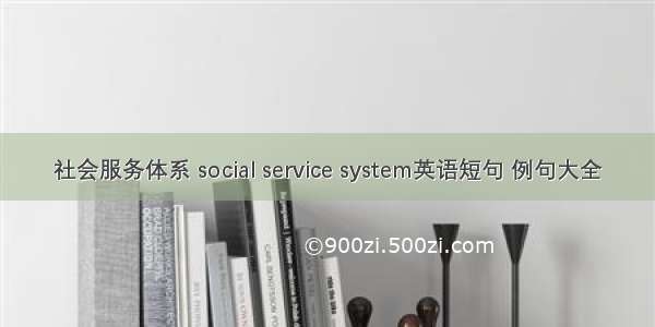 社会服务体系 social service system英语短句 例句大全