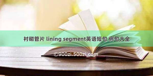 衬砌管片 lining segment英语短句 例句大全