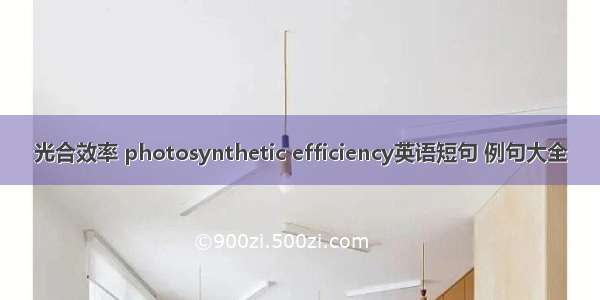 光合效率 photosynthetic efficiency英语短句 例句大全