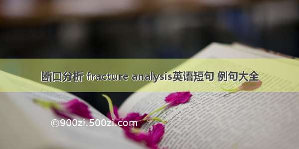 断口分析 fracture analysis英语短句 例句大全