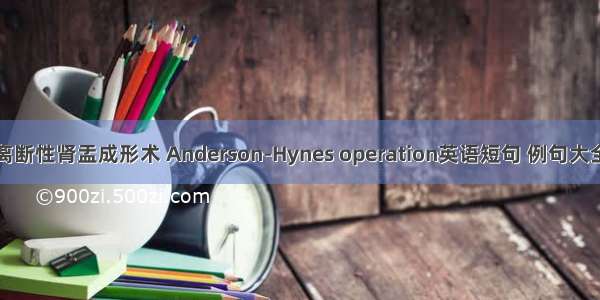 离断性肾盂成形术 Anderson-Hynes operation英语短句 例句大全